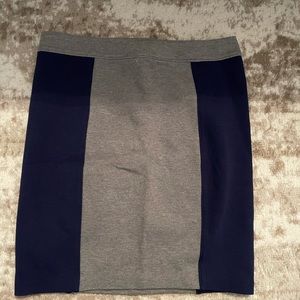 Club Monaco skirt